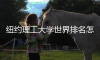 纽约理工大学世界排名怎么样？