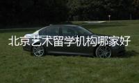 北京艺术留学机构哪家好？