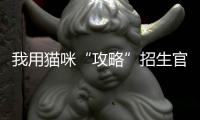 我用猫咪“攻略”招生官、拿下4张顶级院校动画offer＋173W奖学金！