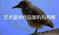 艺术留学作品集机构有哪些？