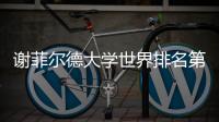 谢菲尔德大学世界排名第几？