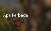 Apa Perbedaan Bintara
