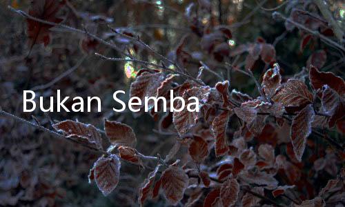 Bukan Sembarang Menu Lebaran, Ini Makna Filosofis Ketupat