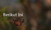 Berikut Ini Asuransi Jiwa Syariah Terbaik dan Manfaatnya