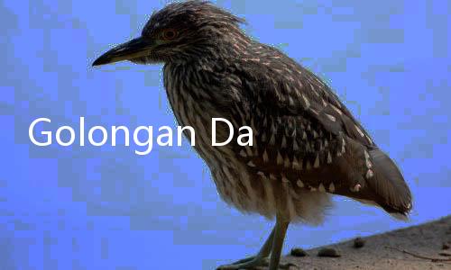 Golongan Darah A Berisiko Stroke di Usia Muda, Benarkah?