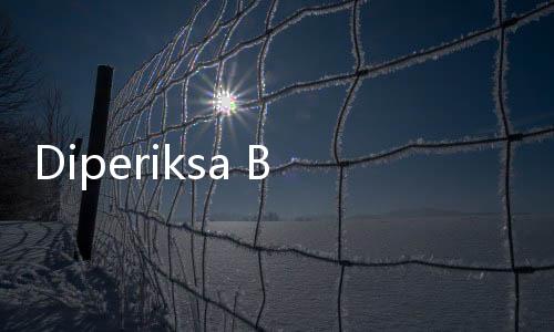 Diperiksa Bareskrim Selama 12 Jam, Siapa Rionald Anggara Soerjanto?
