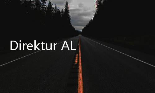Direktur ALGORITMA Sebut Endorsement Jokowi Tidak Akan Berdampak Besar Kepada Masyarakat
