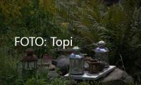 FOTO: Topi