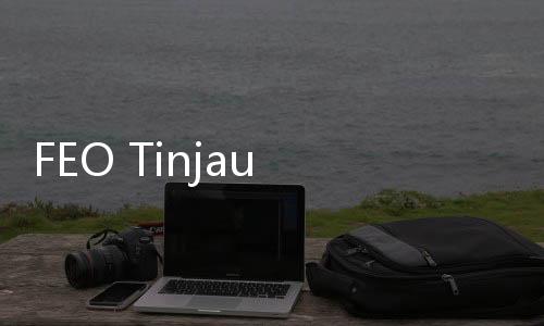 FEO Tinjau Persiapan Sirkuit Formula E 2023 di Ancol