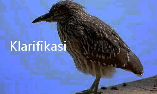 Klarifikasi TKN Soal Isu Program Makan Siang dan Susu Gratis Terealisasi Baru di 2029