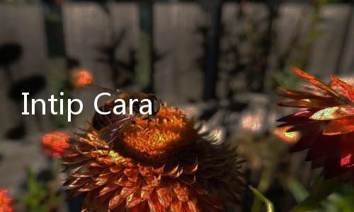 Intip Cara PLN IP Capai RUPTL 10 Tahun Kedepan
