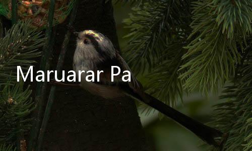 Maruarar Pasang Badan: 'Gagal 3 Juta Rumah? Saya Siap Di