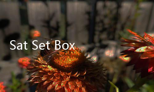 Sat Set Box Program Internet Gratis Buatan ITB Dipamerkan Ganjar: Gak Perlu Pakai Pulsa