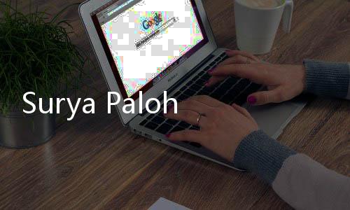 Surya Paloh Buka Suara Peluang Koalisi 1 dan 3
