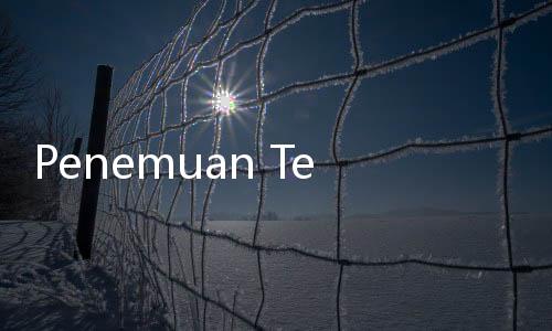 Penemuan Tengkorak Manusia Terbungkus Kaus di Selokan Duren Sawit Bikin Geger