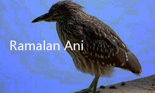 Ramalan Anies di Hadapan Luhut Ternyata Terbukti Benar, Gak Meleset!