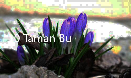 10 Taman Bunga Tercantik di Dunia